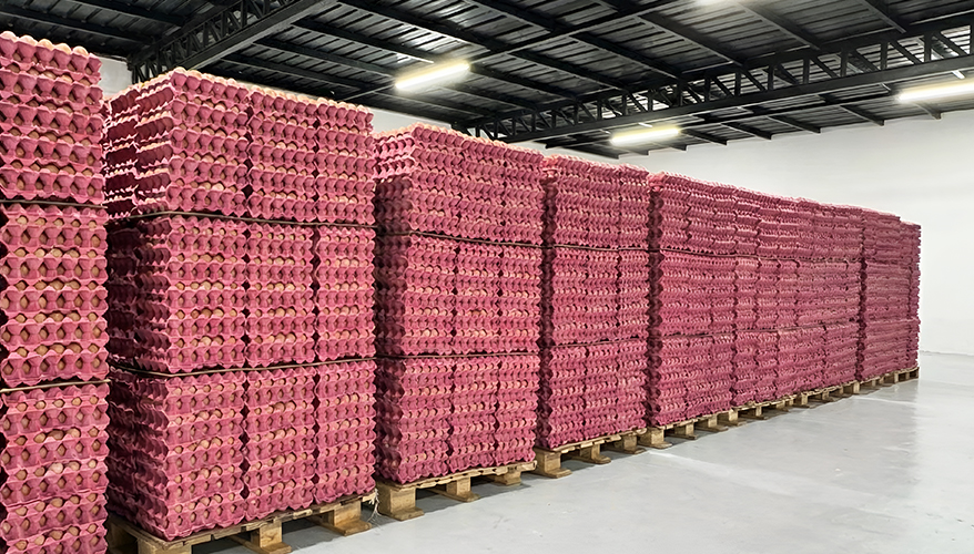 paketleme ve depolama